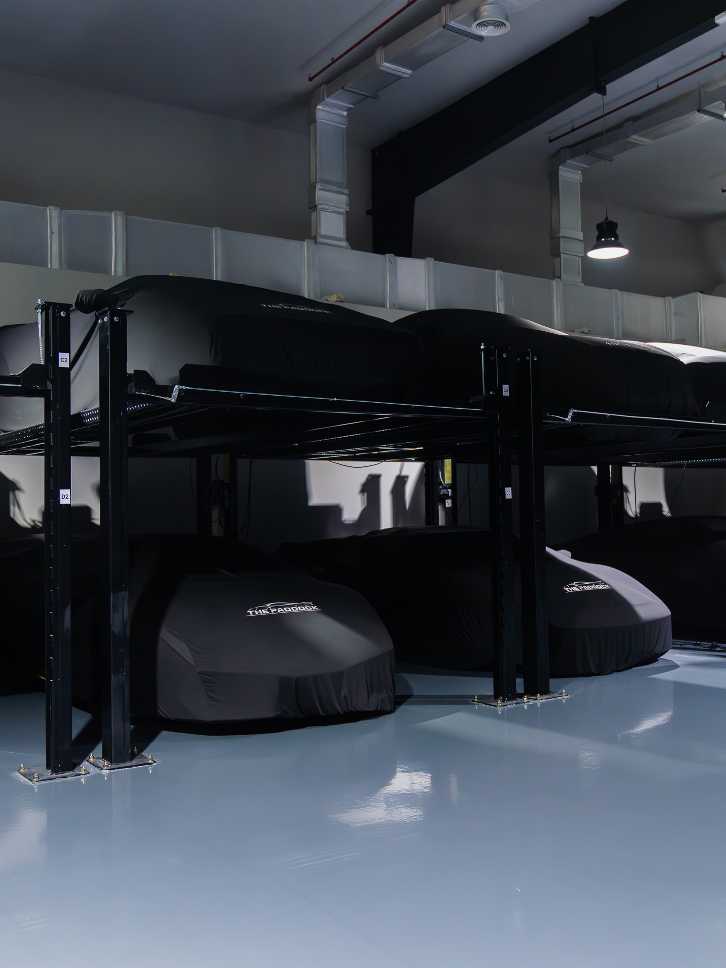 The Paddock: Where Automotive Excellence Meets Passion – A Conversation ...