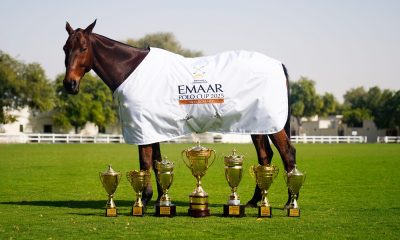 Emaar Polo Cup 2026 – Curated By The Luxury Network UAE