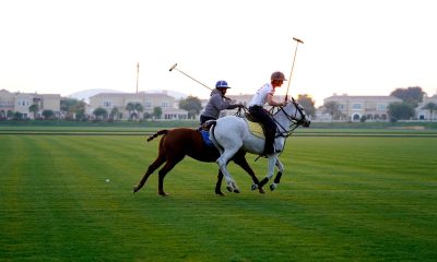 The Luxury Network UAE Announced as Strategic Partner for the Emaar Polo Cup 2026