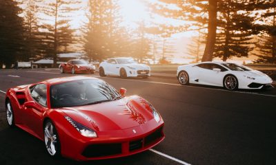 Prancing Horse Drive Experiences Join The Luxury Network Australia