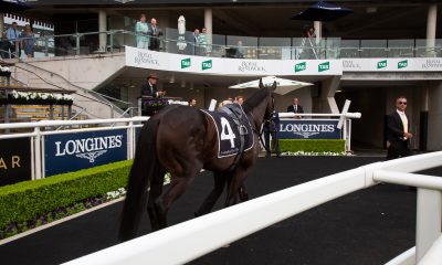 The Luxury Network Australia at the Races with the ATC