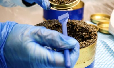 Everything You Need to Know About Caviar