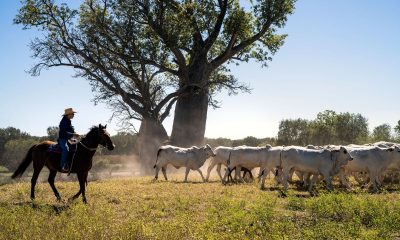 From the Outback to Antarctica to Britain’s Royal and Ducal Castles, Treat Yourself to a Luxury Escape with Abercrombie & Kent