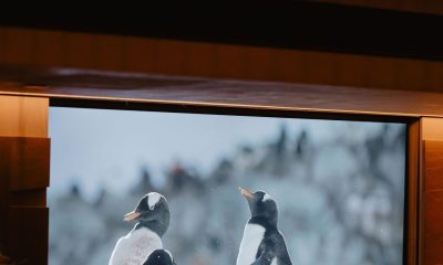 Seabourn Launches First-Ever Pole to Pole Grand Expedition