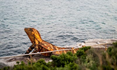 A Sparkling Evening with Pommery at Sculpture by the Sea