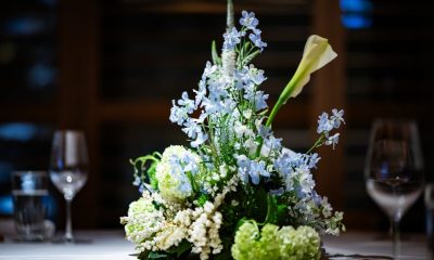 An Intimate Arctic-Inspired Dinner with Ponant at Supernormal, Brisbane