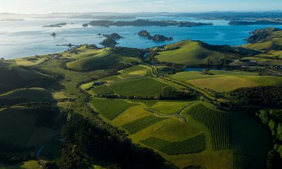 The Luxury Network New Zealand Welcomes New Member The Landing